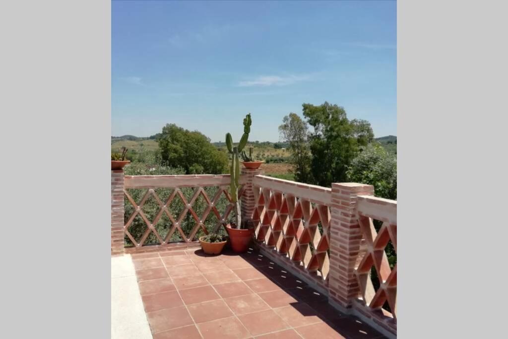 Casa Rural La Vega カサジャ・デ・ラ・シエラ エクステリア 写真