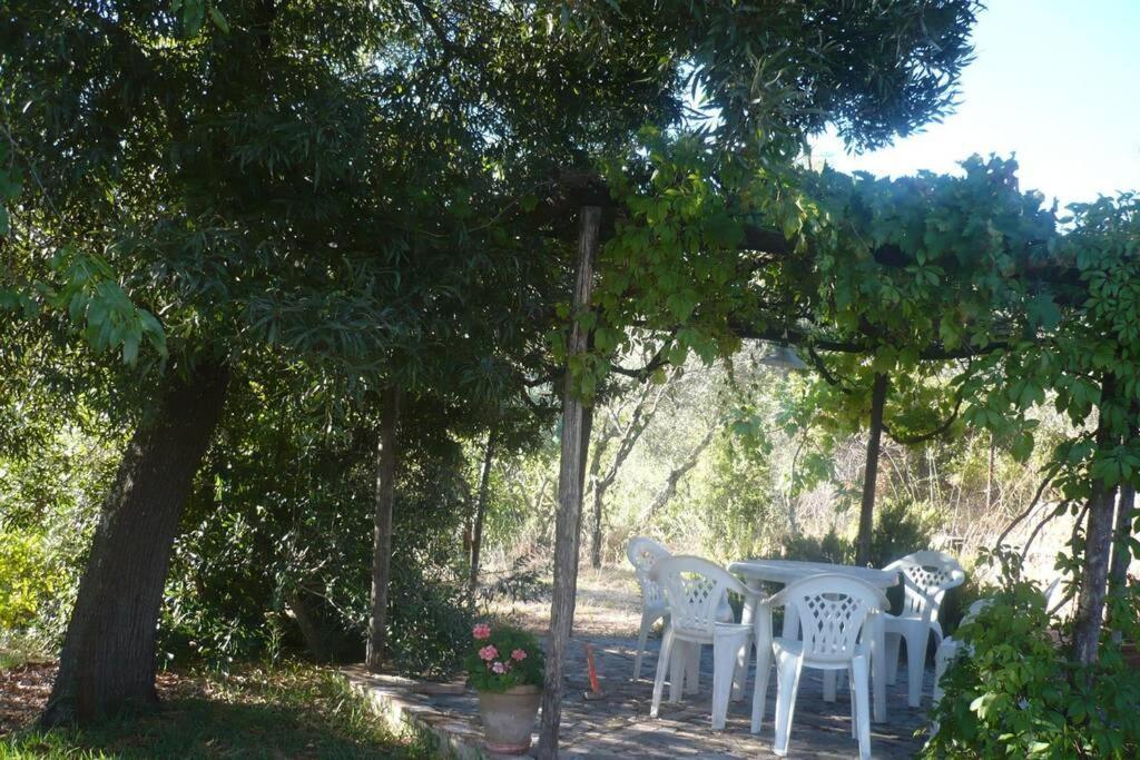 Casa Rural La Vega カサジャ・デ・ラ・シエラ エクステリア 写真