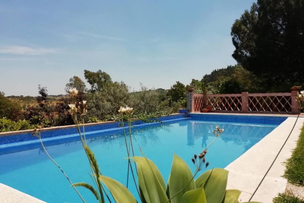 Casa Rural La Vega カサジャ・デ・ラ・シエラ エクステリア 写真