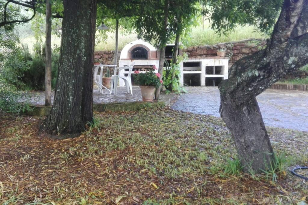 Casa Rural La Vega カサジャ・デ・ラ・シエラ エクステリア 写真